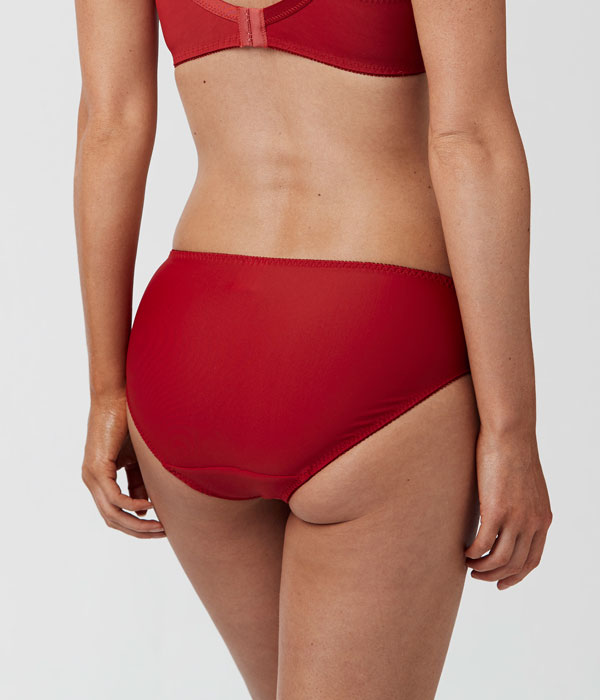 Support Brief, Red